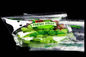 Custom Printing Ziplock Stand Up Pouches Clear Handle Protection Fresh Vegetable Fruit