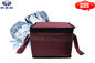 Thermal Insulation Cold Chain Packaging Cooler Bag 0.9L For Travel Insulated Food Bags
