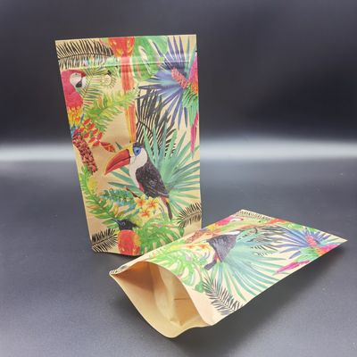 Customized CTP Printing Packaging Bags with Kraft Paper Zipper Tear bags