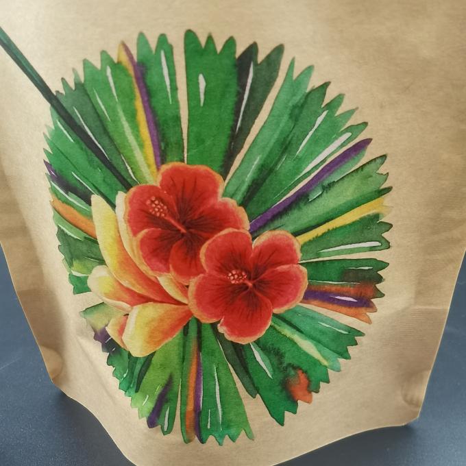 Customized CTP Printing Packaging Bags with Kraft Paper Zipper Tear bags 1